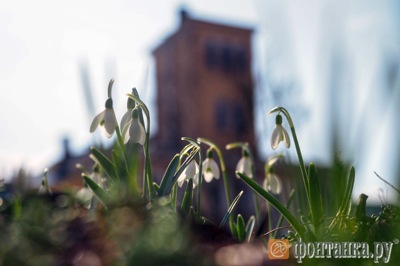 Кафе "У пани Сони"